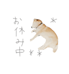 寧々（個別スタンプ：8）