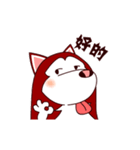 Kawaii Alaskan Malamute（個別スタンプ：1）