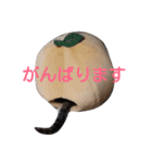 みかん2（個別スタンプ：6）