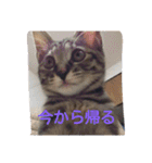 みかん2（個別スタンプ：7）