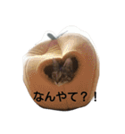 みかん2（個別スタンプ：10）