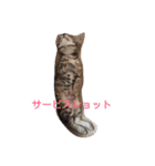 みかん2（個別スタンプ：14）