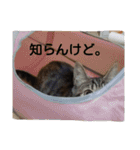 みかん2（個別スタンプ：15）