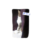 みかん2（個別スタンプ：27）