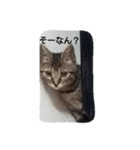 みかん2（個別スタンプ：30）