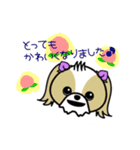 ぴぃちもんちゃん（個別スタンプ：5）