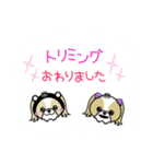 ぴぃちもんちゃん（個別スタンプ：8）