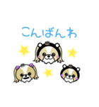 ぴぃちもんちゃん（個別スタンプ：13）