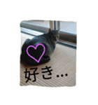 小太浪（個別スタンプ：14）