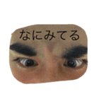 けんちゃんハウス（個別スタンプ：3）