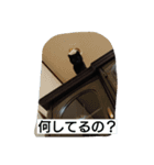 黒猫モナちゃん（個別スタンプ：2）