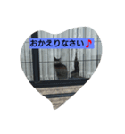 黒猫モナちゃん（個別スタンプ：3）