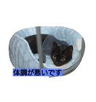 黒猫モナちゃん（個別スタンプ：4）