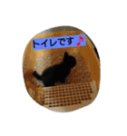 黒猫モナちゃん（個別スタンプ：7）