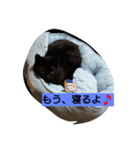 黒猫モナちゃん（個別スタンプ：8）