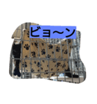 黒猫モナちゃん（個別スタンプ：15）