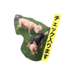 ししまるの生活3（個別スタンプ：2）