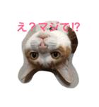 アレンのつぶやき（個別スタンプ：1）
