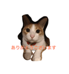 アレンのつぶやき（個別スタンプ：3）
