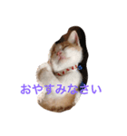 アレンのつぶやき（個別スタンプ：6）