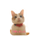 アレンのつぶやき（個別スタンプ：8）