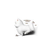 Dusty the Cat（個別スタンプ：21）