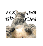 盆子原家の猫たち（個別スタンプ：3）