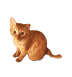 盆子原家の猫たち（個別スタンプ：10）