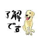 愛犬ゴールデンとダックス（個別スタンプ：1）