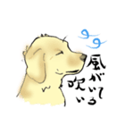 愛犬ゴールデンとダックス（個別スタンプ：2）