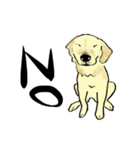 愛犬ゴールデンとダックス（個別スタンプ：14）