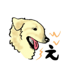 愛犬ゴールデンとダックス（個別スタンプ：16）