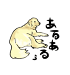 愛犬ゴールデンとダックス（個別スタンプ：17）