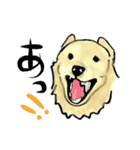 愛犬ゴールデンとダックス（個別スタンプ：18）