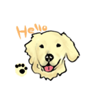 愛犬ゴールデンとダックス（個別スタンプ：19）