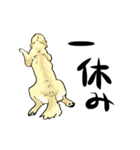 愛犬ゴールデンとダックス（個別スタンプ：21）