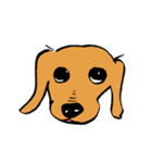 愛犬ゴールデンとダックス（個別スタンプ：23）
