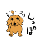 愛犬ゴールデンとダックス（個別スタンプ：24）