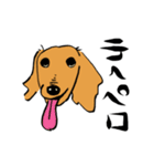 愛犬ゴールデンとダックス（個別スタンプ：25）
