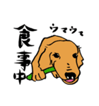 愛犬ゴールデンとダックス（個別スタンプ：29）