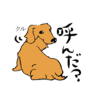 愛犬ゴールデンとダックス（個別スタンプ：31）