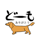 愛犬ゴールデンとダックス（個別スタンプ：34）