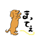愛犬ゴールデンとダックス（個別スタンプ：36）