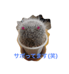 演劇ユニットs45 vol.1（個別スタンプ：14）