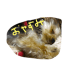 あーちん（個別スタンプ：3）