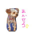 あーちん（個別スタンプ：4）