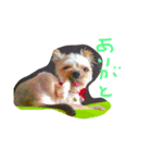 あーちん（個別スタンプ：8）