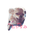 ラブ ハル（個別スタンプ：1）