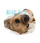 ラブ ハル（個別スタンプ：2）