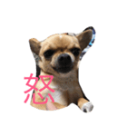 ラブ ハル（個別スタンプ：3）